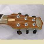 Miruzzi custom built fan fret guitar